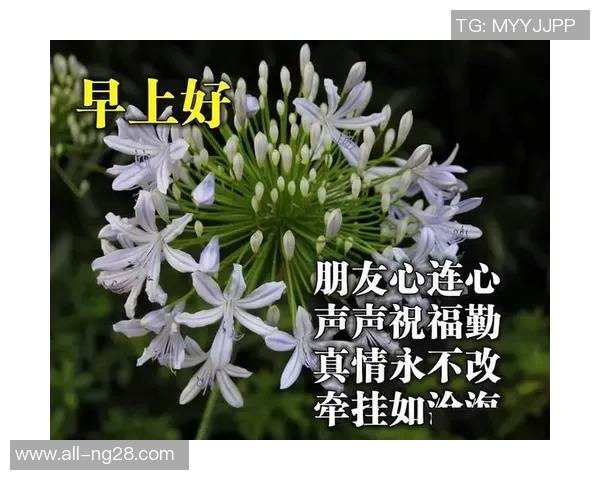 祝阿克31岁生日快乐曼城社媒送上温馨祝福愿你拥有美好的一天 祝阿克31岁生日快乐曼城社媒送上温馨祝福愿你拥有美好的一天